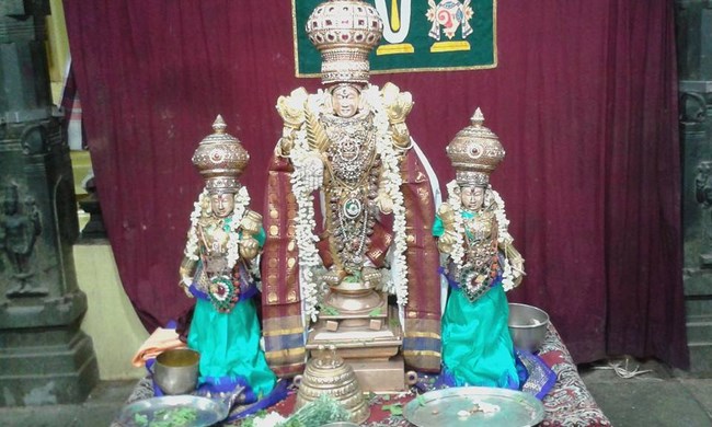 Mylapore SVDD Srinivasa Perumal Temple Ugadi Purappadu14