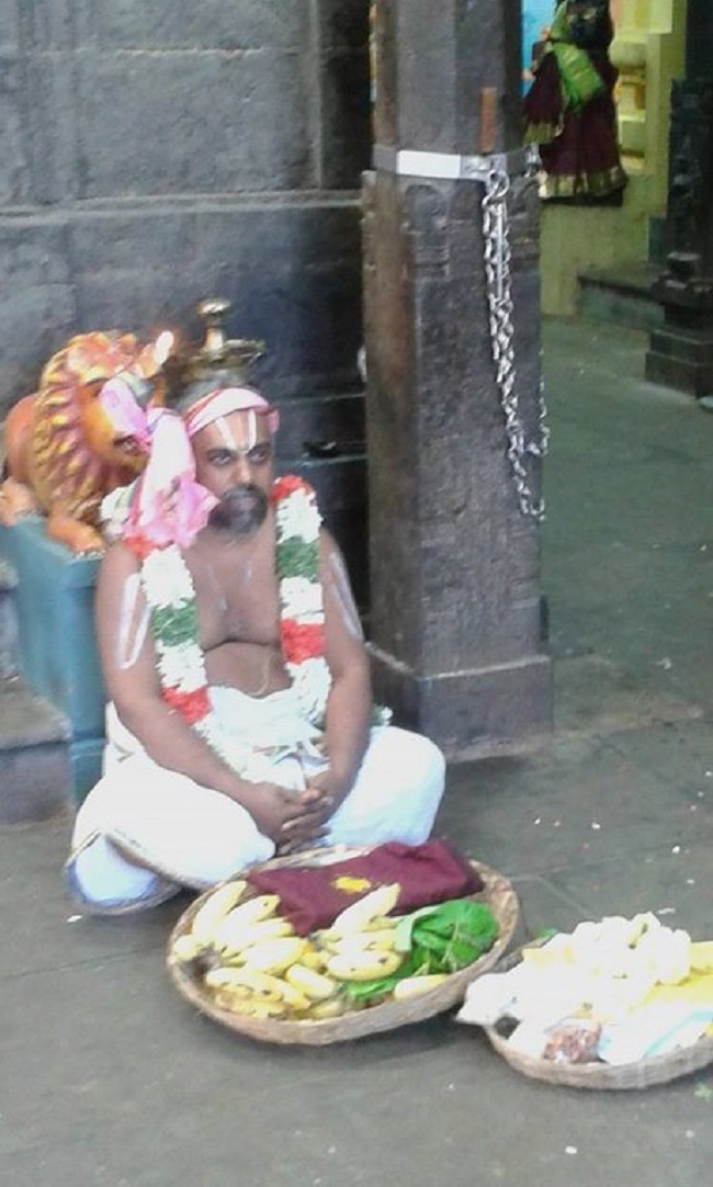 Mylapore SVDD Srinivasa Perumal Temple Ugadi Purappadu15