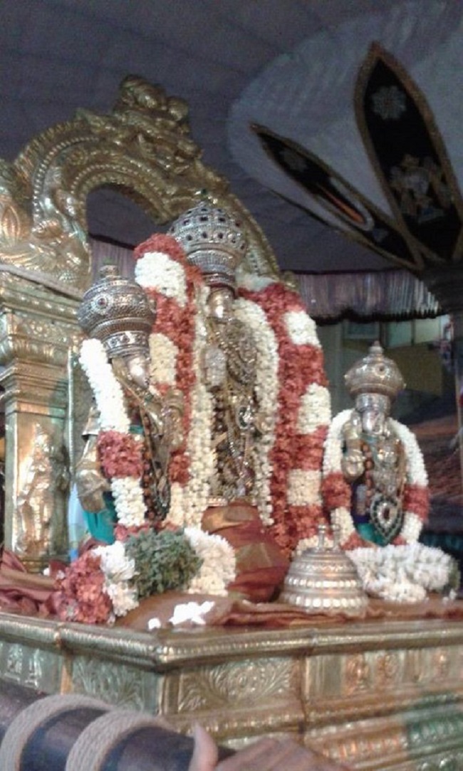 Mylapore SVDD Srinivasa Perumal Temple Ugadi Purappadu17