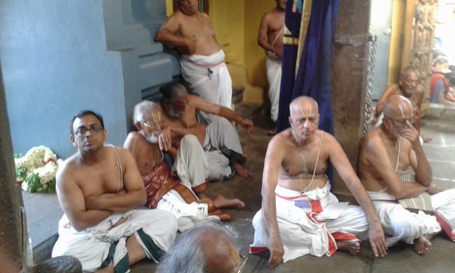 Mylapore SVDD Srinivasa Perumal Temple Ugadi Purappadu22