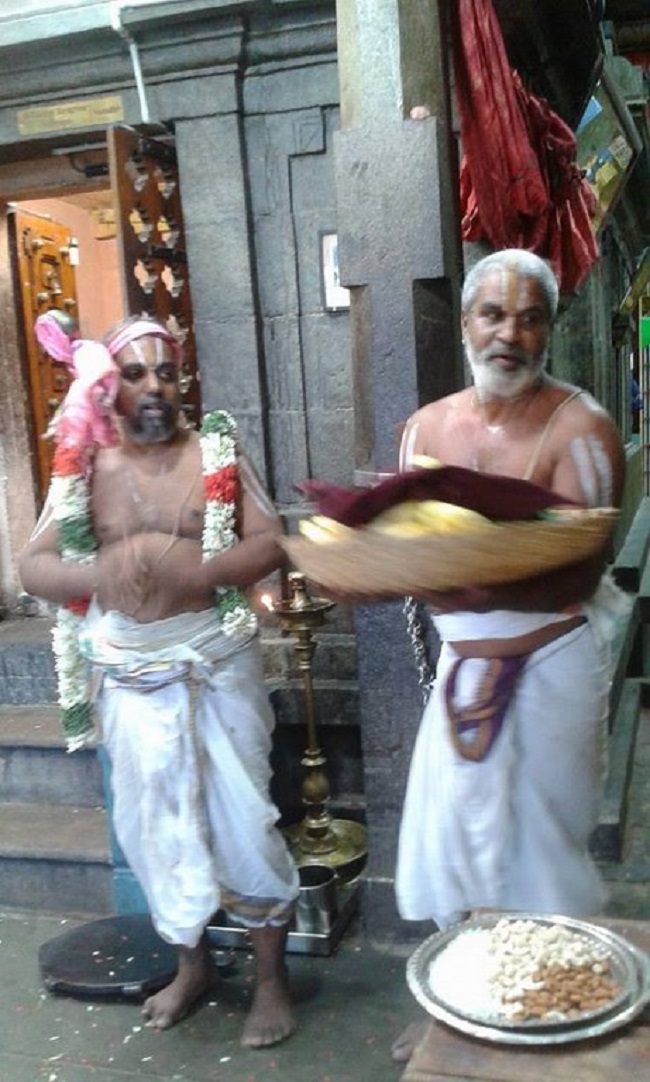 Mylapore SVDD Srinivasa Perumal Temple Ugadi Purappadu23