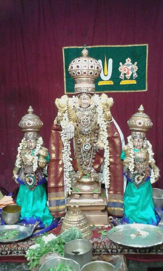 Mylapore SVDD Srinivasa Perumal Temple Ugadi Purappadu25