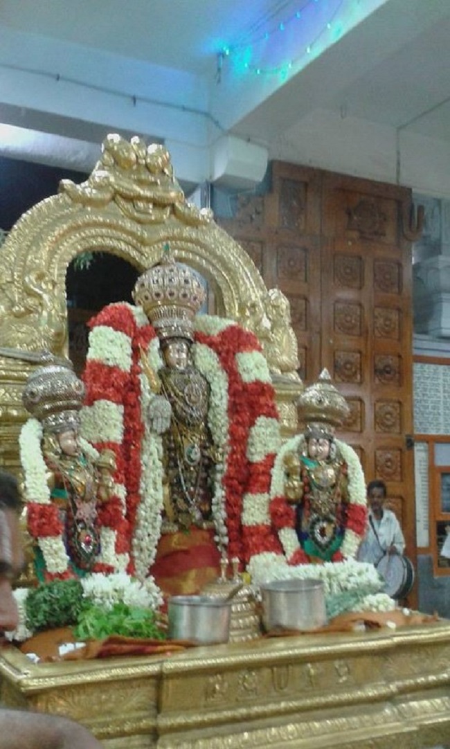 Mylapore SVDD Srinivasa Perumal Temple Ugadi Purappadu30