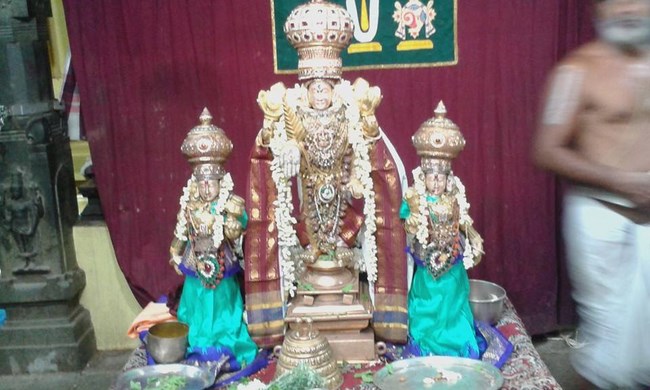 Mylapore SVDD Srinivasa Perumal Temple Ugadi Purappadu31