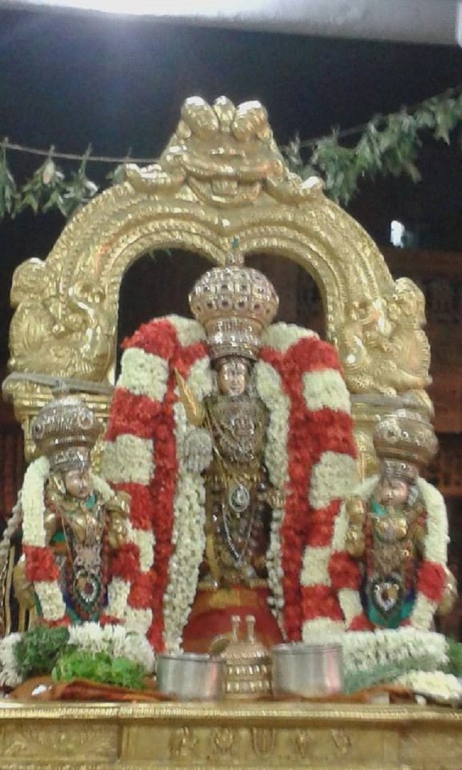 Mylapore SVDD Srinivasa Perumal Temple Ugadi Purappadu4