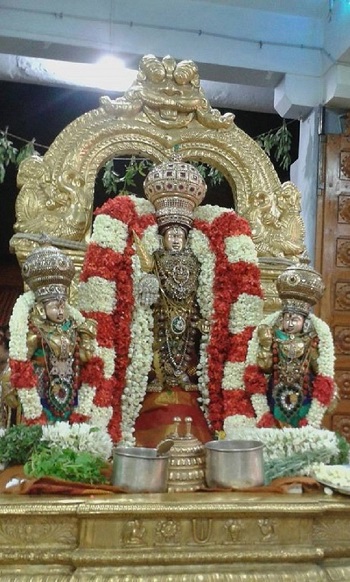 Mylapore SVDD Srinivasa Perumal Temple Ugadi Purappadu9