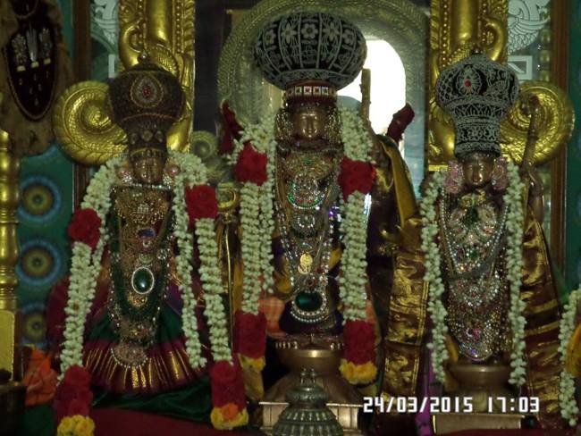 Mylapore SVDD Srinivasa Perumall Koil SriRama Navami Uthsavam Day 5 24-03-2015  11