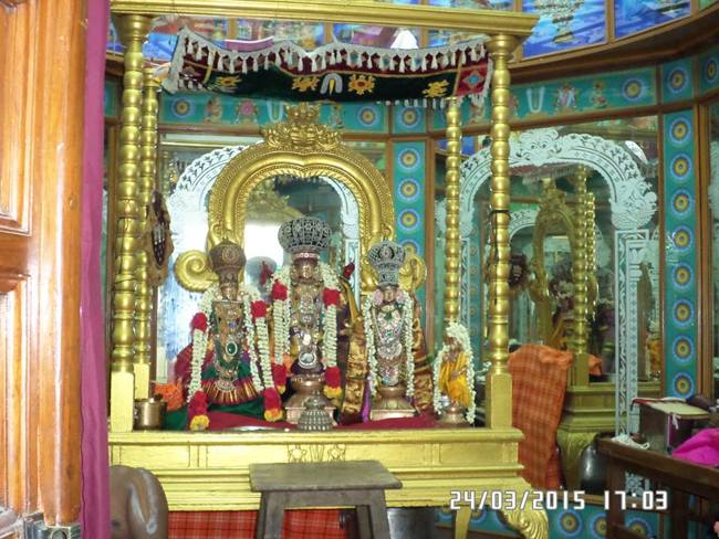 Mylapore SVDD Srinivasa Perumall Koil SriRama Navami Uthsavam Day 5 24-03-2015  13