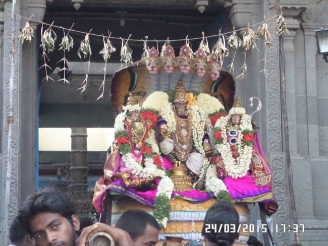 Mylapore Sri AadhiKesava Perumall Koil SriRama Navami Uthsavam Day 4 24-03-2015  9