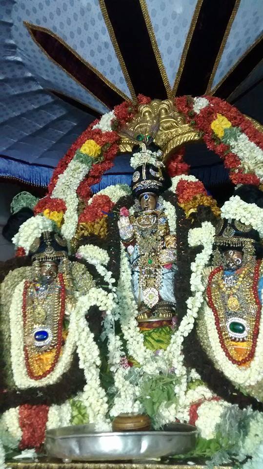 Mylapore Sri Adhi Kesava Perumal  Shravanam Purapadu 17-03-2015  02