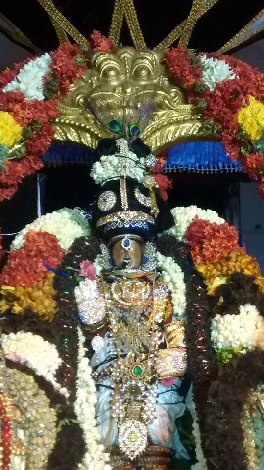 Mylapore Sri Adhi Kesava Perumal  Shravanam Purapadu 17-03-2015  04
