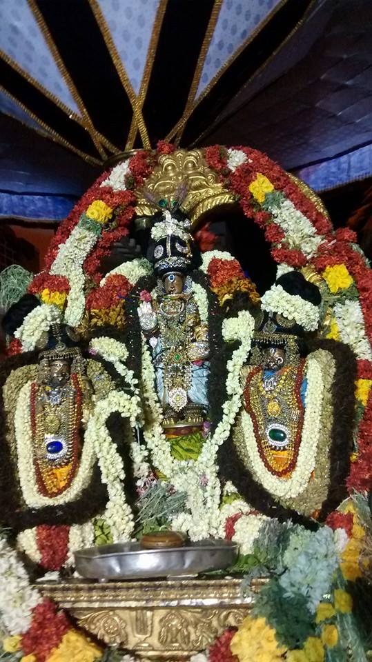 Mylapore Sri Adhi Kesava Perumal  Shravanam Purapadu 17-03-2015  06