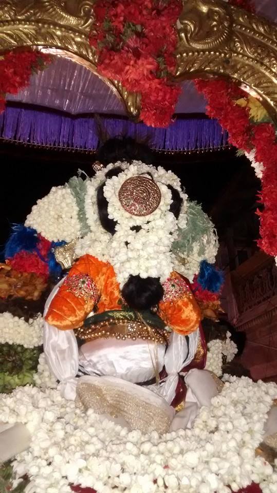 Mylapore Sri Adhi Kesava Perumal  Shravanam Purapadu 17-03-2015  08