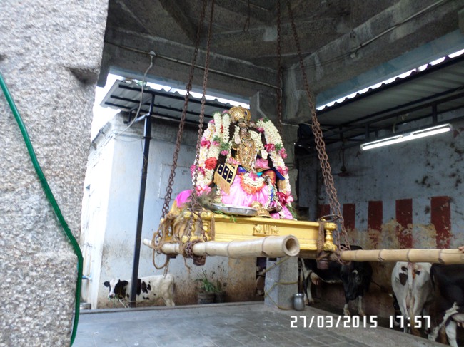 Mylapore Sri Adhikesava Perumal Temple Rama Navami Utsavm Day 7-2015-0017