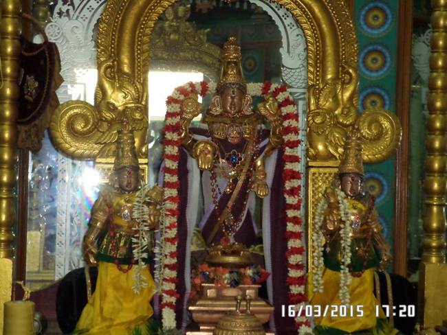 Mylapore Sri Srinivasa Perumal SVDD Ekadesi Purapadu 16-03-2015  04
