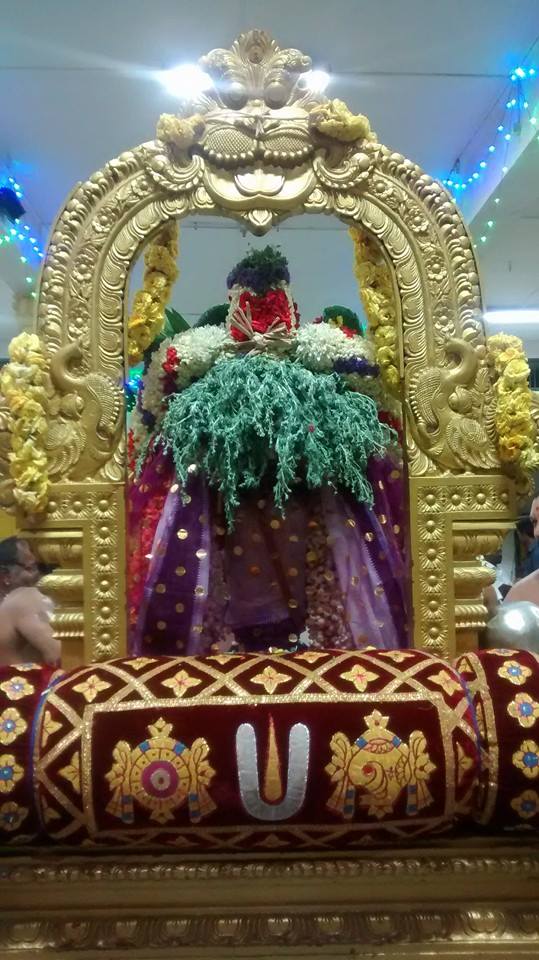 Mylapore Sri Srinivasa Perumal SVDD Ekadesi Purapadu 16-03-2015  07