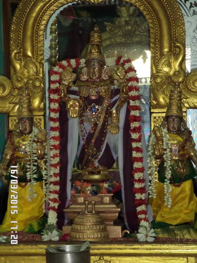 Mylapore Sri Srinivasa Perumal SVDD Ekadesi Purapadu 16-03-2015  10