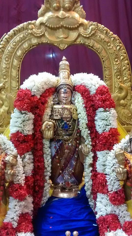 Mylapore Sri Srinivasa Perumal SVDD Shravanam Purapadu 17-03-2015  12