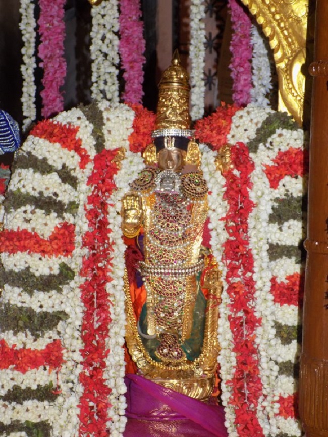 Nanganallur Sri Lakshmi Narasimhar Navaneetha Krishnan Temple Brahmotsavam Concludes8