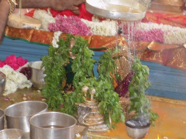Nanganallur Sri Lakshmi Narasimhar Navaneetha Krishnan Temple Brahmotsavam10