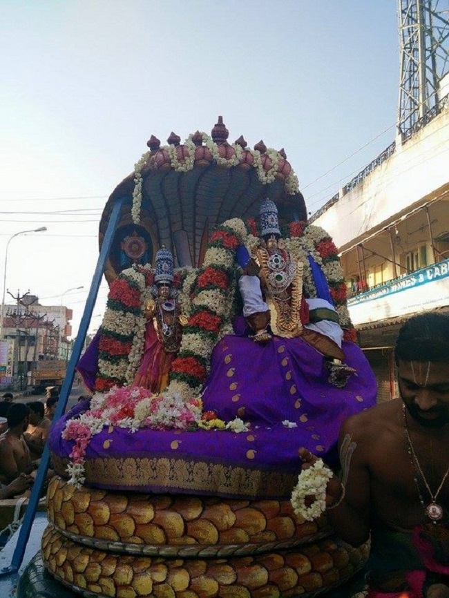 Nanganallur Sri Lakshmi Narasimhar Navaneetha Krishnan Temple Brahmotsavam10