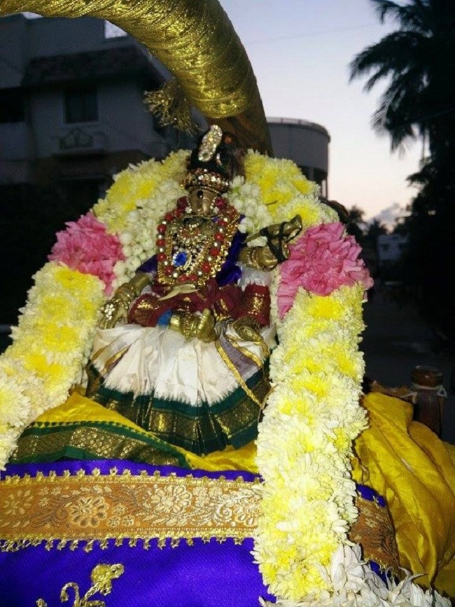 Nanganallur Sri Lakshmi Narasimhar Navaneetha Krishnan Temple Brahmotsavam11
