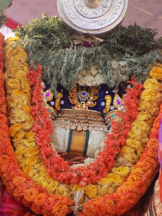 Nanganallur Sri Lakshmi Narasimhar Navaneetha Krishnan Temple Brahmotsavam12