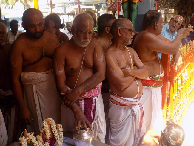 Nanganallur Sri Lakshmi Narasimhar Navaneetha Krishnan Temple Brahmotsavam16