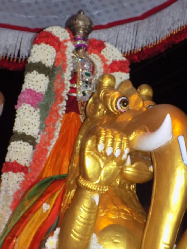 Nanganallur Sri Lakshmi Narasimhar Navaneetha Krishnan Temple Brahmotsavam23