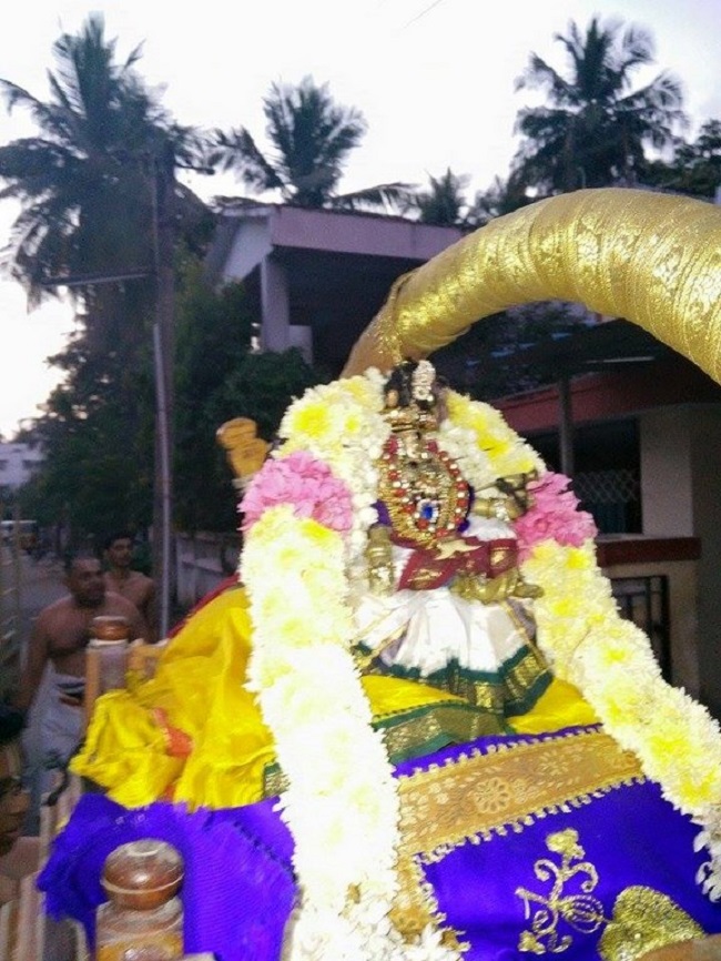 Nanganallur Sri Lakshmi Narasimhar Navaneetha Krishnan Temple Brahmotsavam2