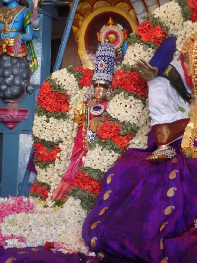 Nanganallur Sri Lakshmi Narasimhar Navaneetha Krishnan Temple Brahmotsavam5