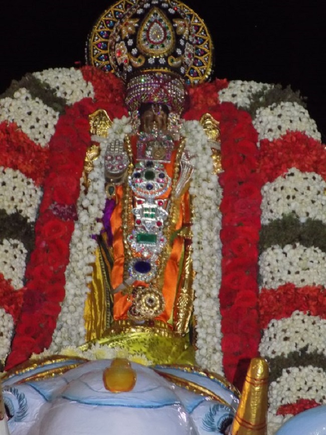 Nanganallur Sri Lakshmi Narasimhar Navaneetha Krishnan Temple Brahmotsavam6