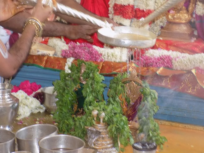 Nanganallur Sri Lakshmi Narasimhar Navaneetha Krishnan Temple Brahmotsavam8