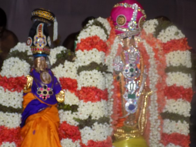 Nanganallur Sri Lakshmi Narasimhar Navaneetha Krishnan Temple Brahmotsavam8