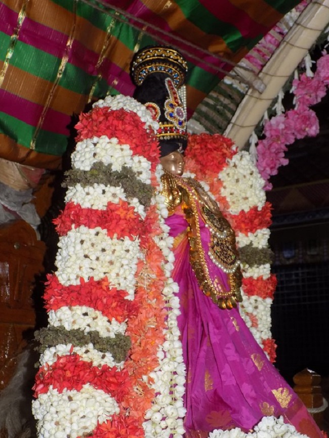 Nanganallur Sri Lakshmi Narasimhar Navaneetha Krishnan Temple Vidayatri Utsavam13
