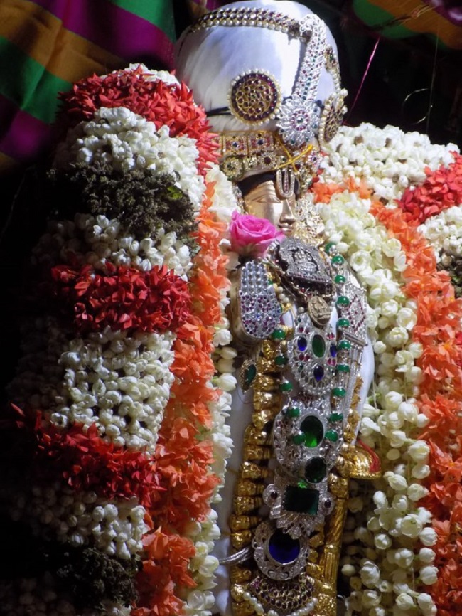 Nanganallur Sri Lakshmi Narasimhar Navaneetha Krishnan Temple Vidayatri Utsavam5