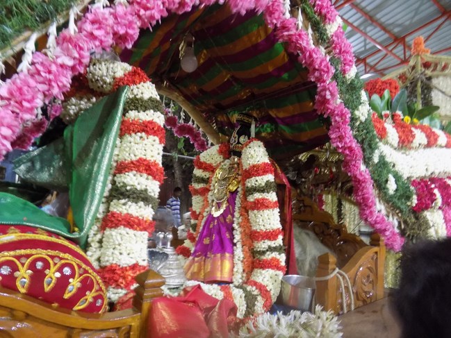 Nanganallur Sri Lakshmi Narasimhar Navaneetha Krishnan Temple Vidayatri Utsavam7