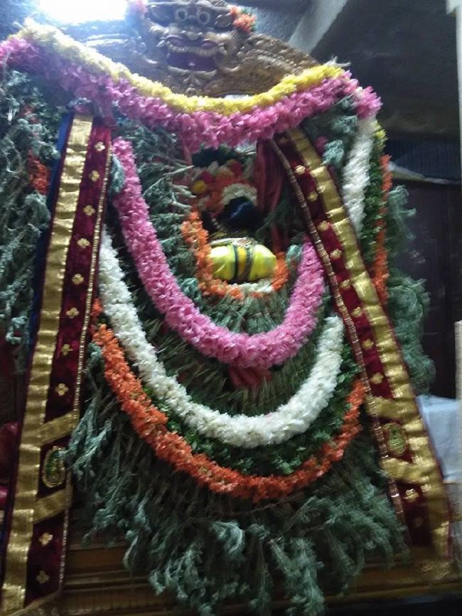 PV Kalathur Perumal Temple Dhavana Utsavam  2015 -07