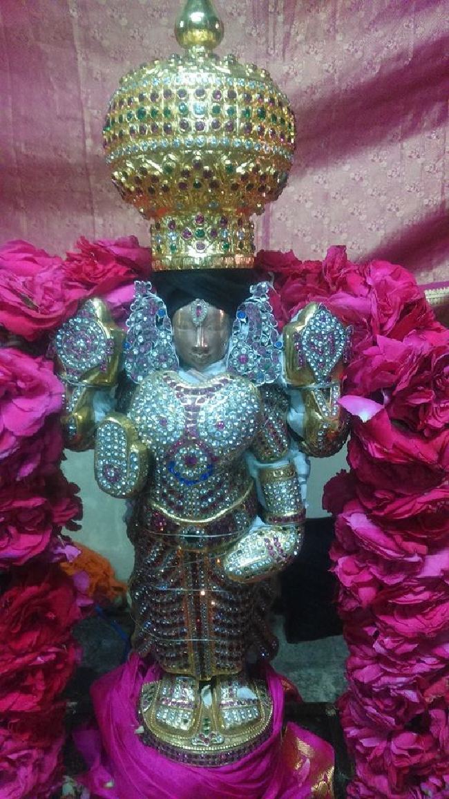 PV Kalathur Perumal Temple Dhavana Utsavam  2015 -08