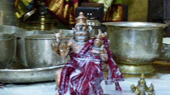 Panguni masa pradosham at Dasavathara Sannadhi 2015 -04