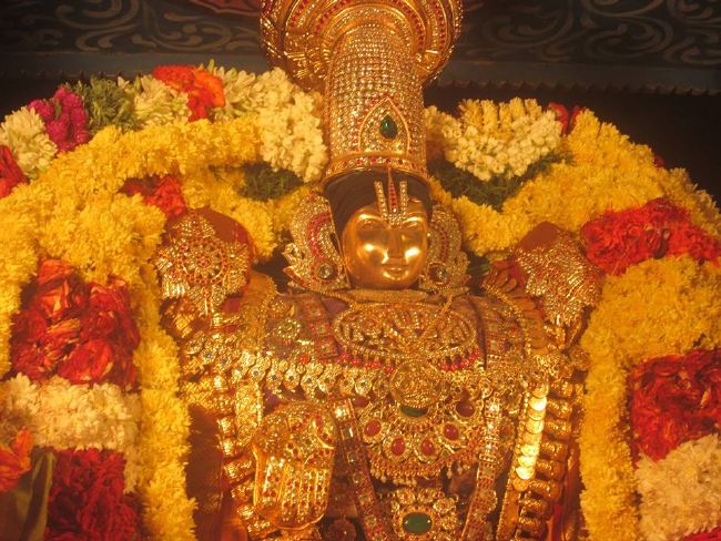 Pondicherry Sri Srinivasa Peruamal Temple Masi Maha Theerthavari  2015 -01