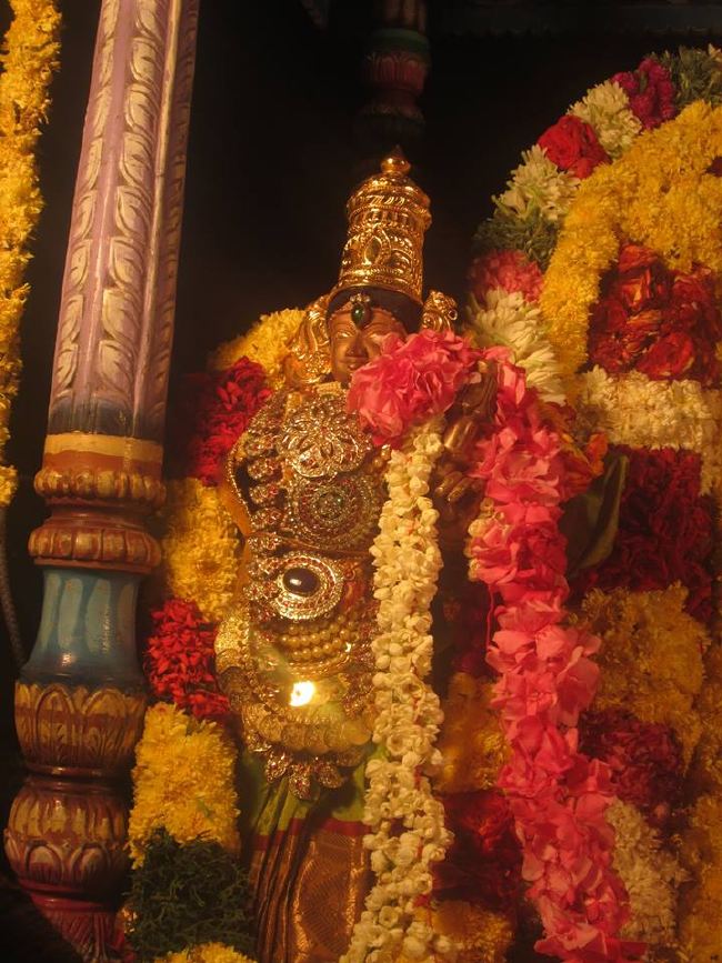 Pondicherry Sri Srinivasa Peruamal Temple Masi Maha Theerthavari  2015 -04