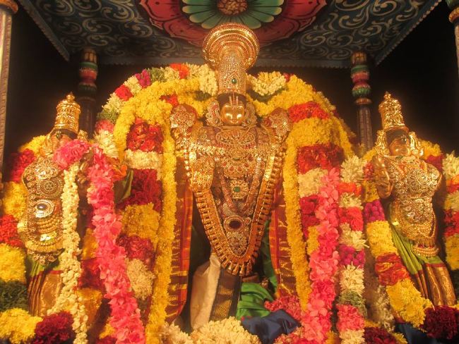 Pondicherry Sri Srinivasa Peruamal Temple Masi Maha Theerthavari  2015 -08