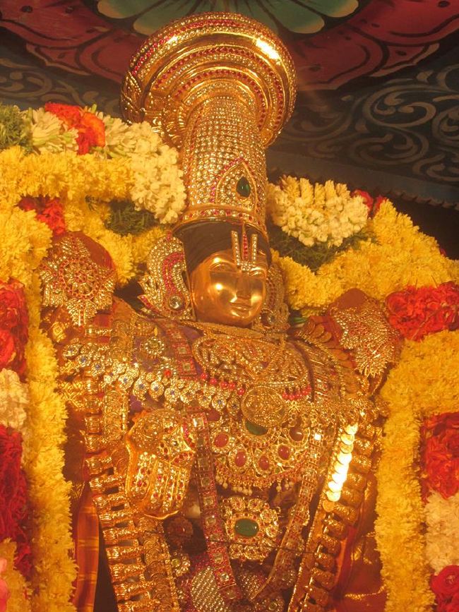 Pondicherry Sri Srinivasa Peruamal Temple Masi Maha Theerthavari  2015 -10