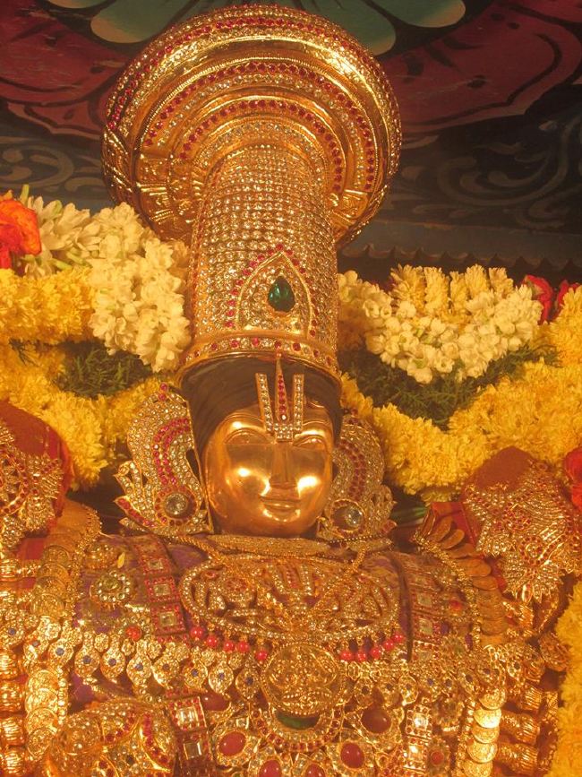 Pondicherry Sri Srinivasa Peruamal Temple Masi Maha Theerthavari  2015 -11