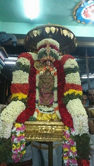 Poovirundavalli Sri Varadharaja Perumal Temple Thirukachi Nambigal Avathara Utsavam 2