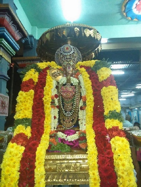 Poovirundavalli Sri Varadharaja Perumal Temple Thirukachi Nambigal Avathara Utsavam8