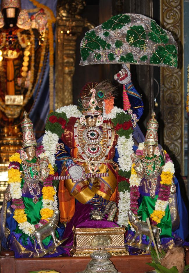 Pune Sri Balaji Mandir Annakoota Utsavam 2015 -01