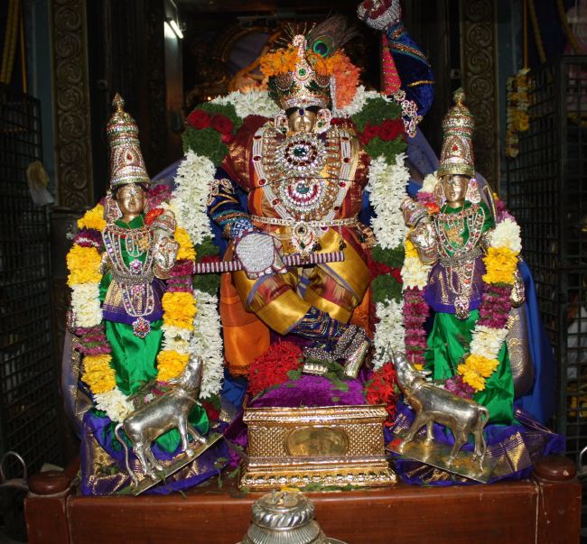 Pune Sri Balaji Mandir Annakoota Utsavam 2015 -10