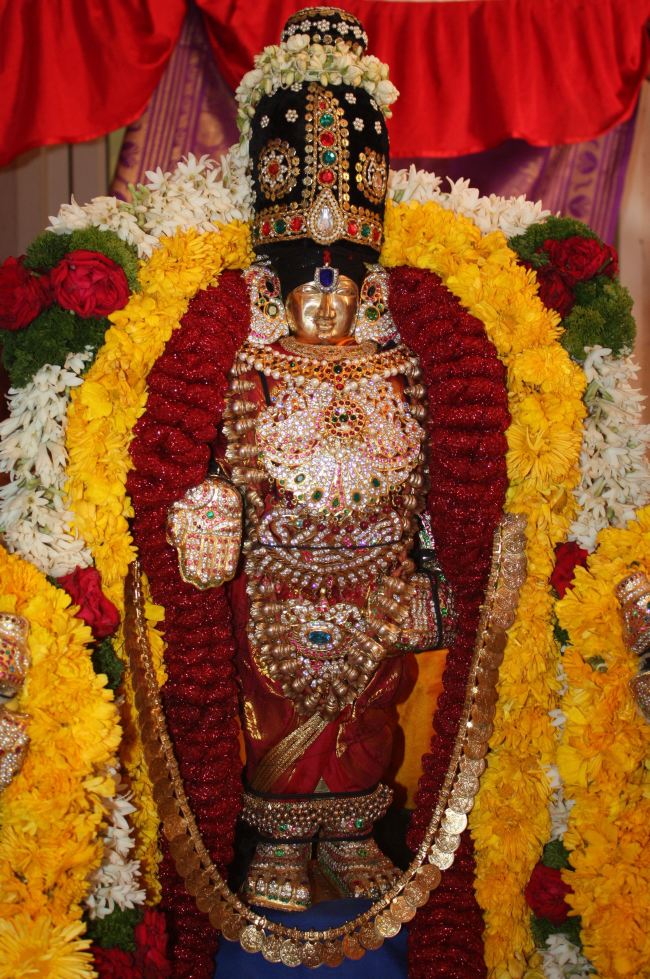 Pune Sri balaji mandir Vanamahotsavam 2015 -04